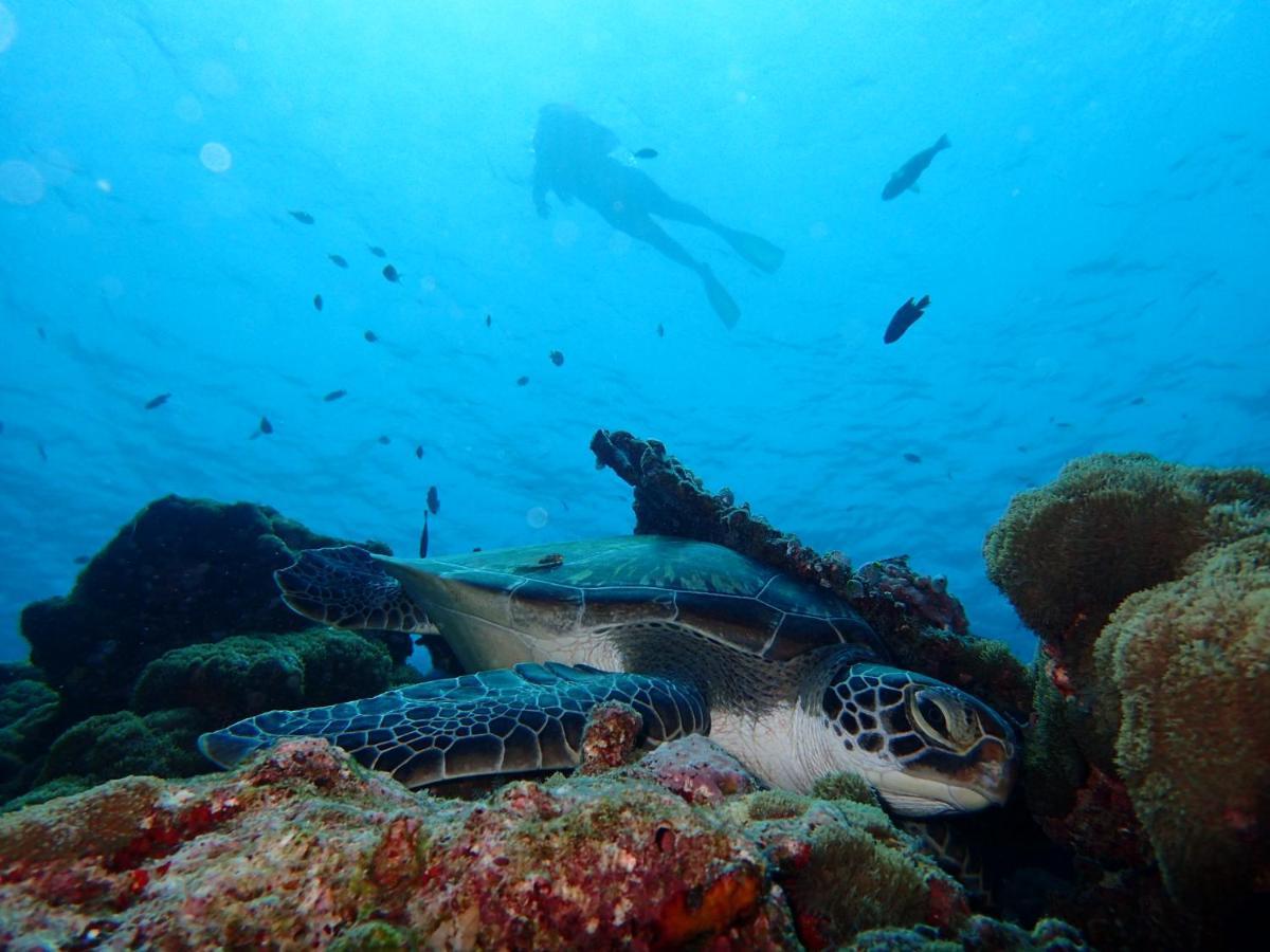 Manta Reserve Maalhos  Экстерьер фото